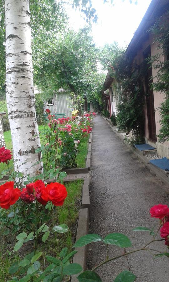 Camping Paradisul Soferilor Onesti Quarto foto